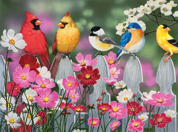 Songbirds and Cosmos, William Vanderdasson