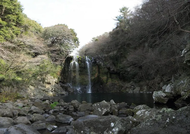 20698 Natur - Wasserfall Puzzle