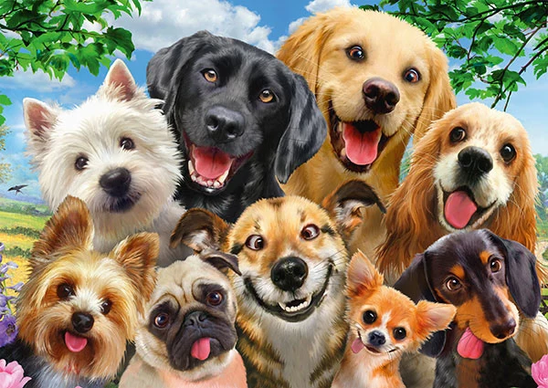 Dog Selfie