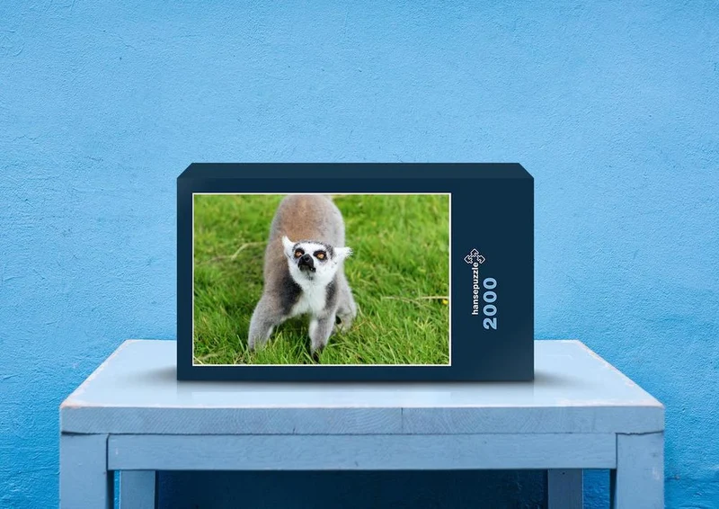 45365 Tierwelt - Lemur Puzzle