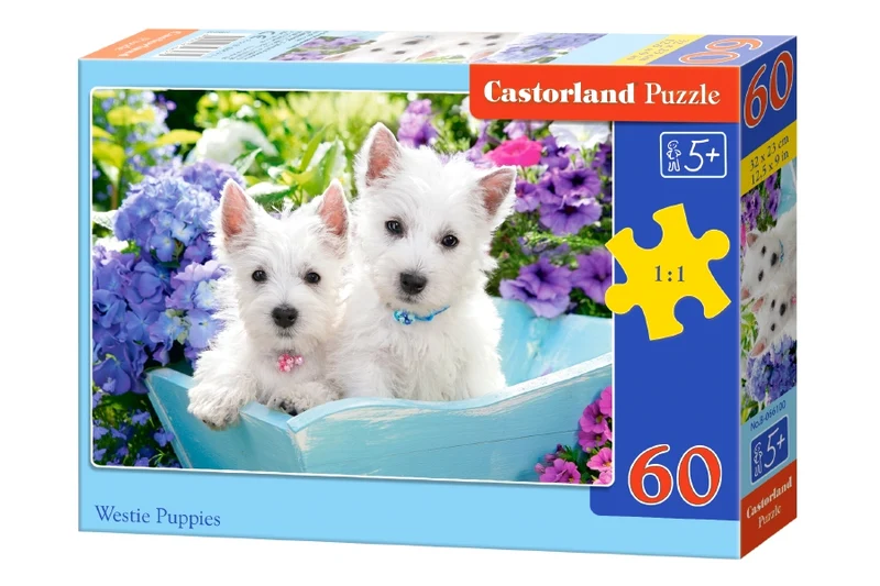 Westie Puppies, 60pc