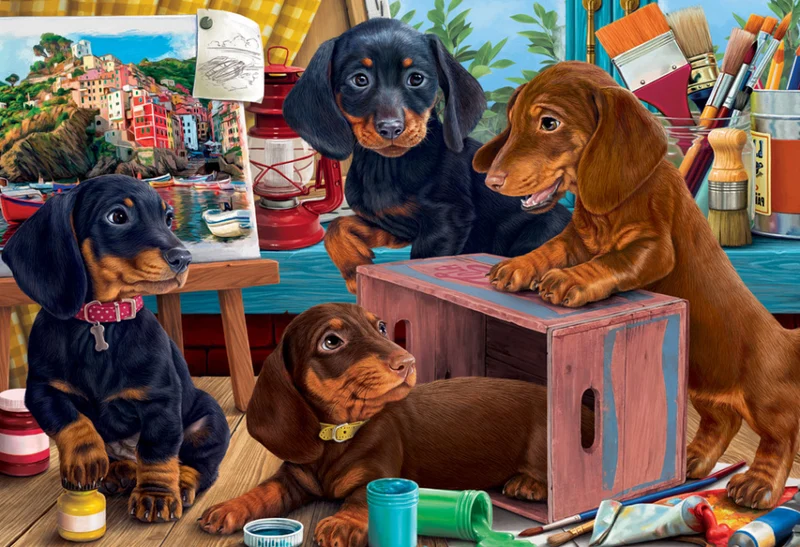 Studio Puppies