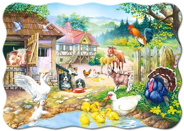 Farm, Castorland