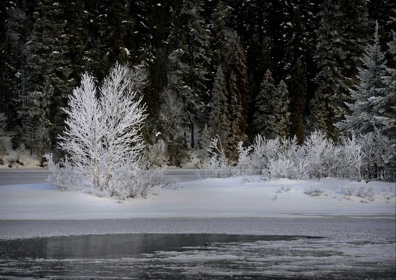 33990 Natur - Winterlandschaft Puzzle