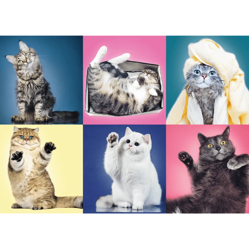 Kittens, 500pc