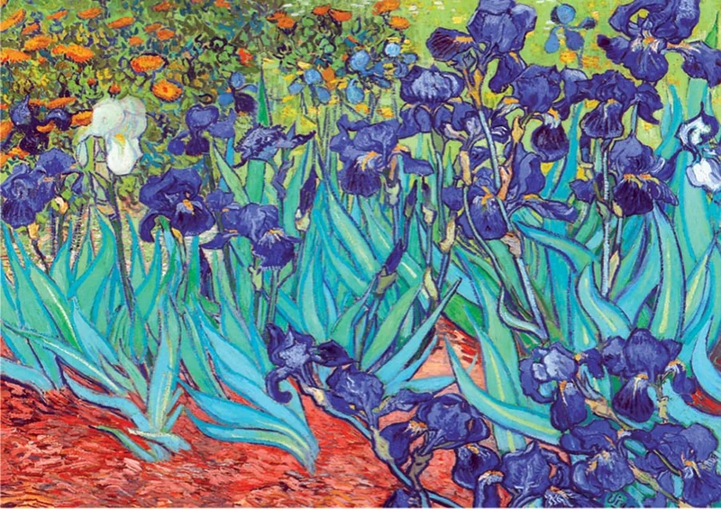 Irises, Vincent Willem van Gogh