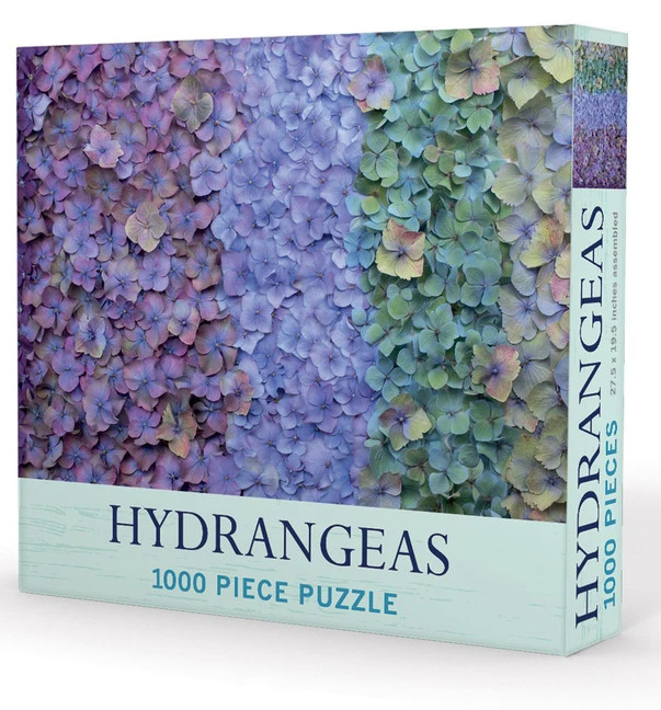 Hydrangeas, Georgianna Lane