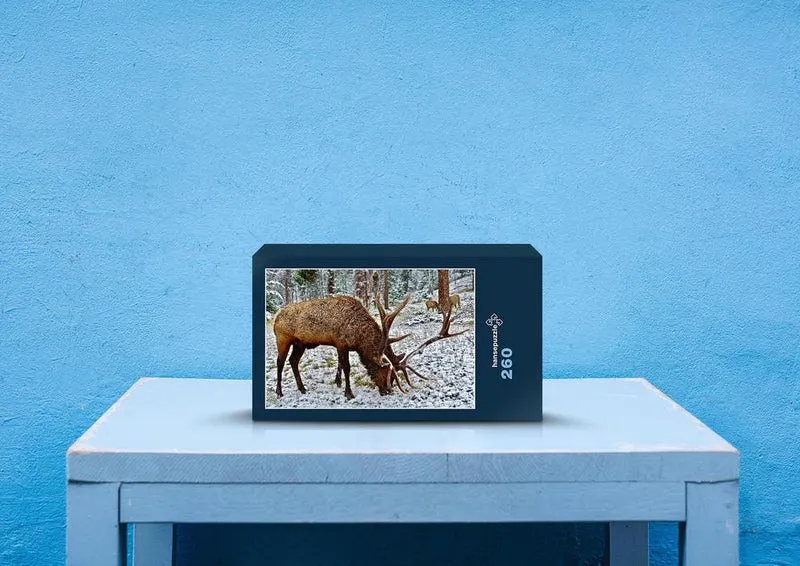 20778 Tierwelt - Elch im Schnee Puzzle