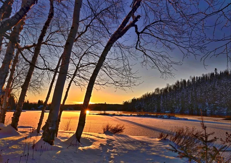 31896 Natur - Winterlandschaft Puzzle