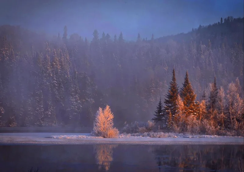 31882 Natur - Winterlandschaft Puzzle