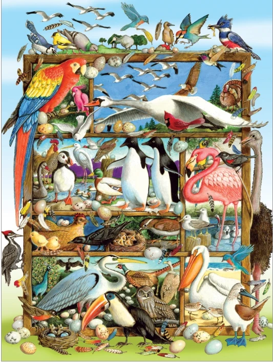 Birds of the World (Family Pieces)