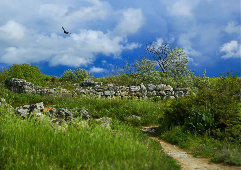 33848 Natur - Crimea Puzzle