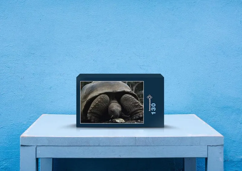 20608 Tierwelt - Schildkröte Puzzle