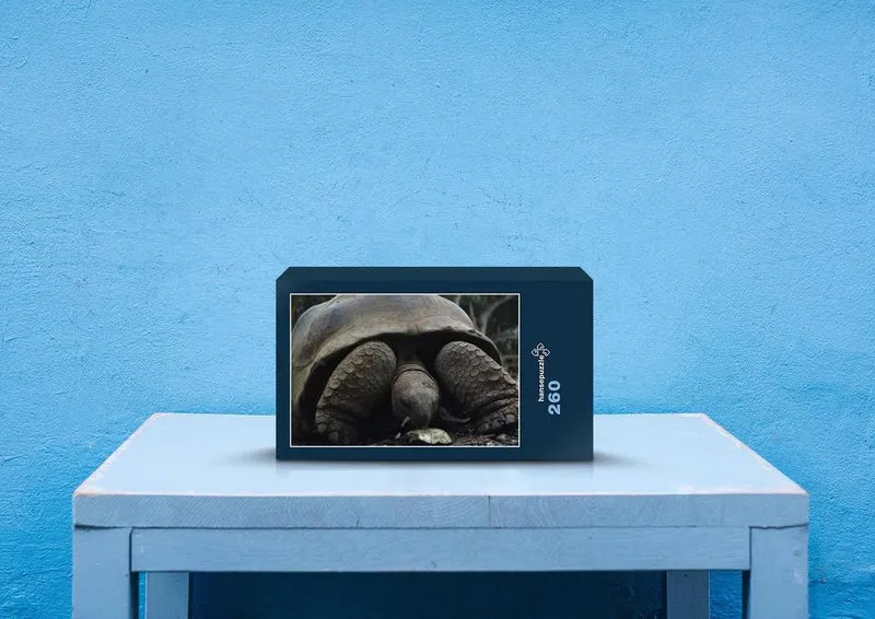 20608 Tierwelt - Schildkröte Puzzle