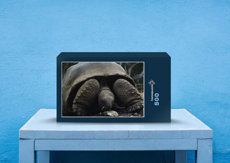 20608 Tierwelt - Schildkröte Puzzle
