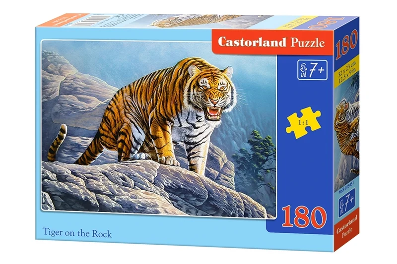 Tiger on the Rock