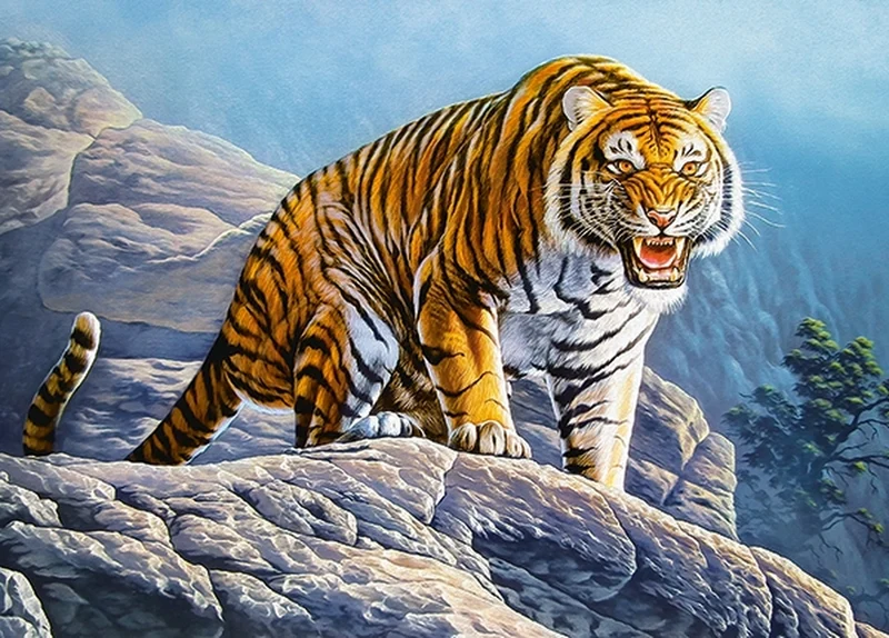 Tiger on the Rock