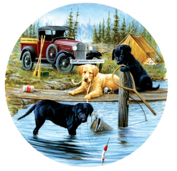Camping Trip