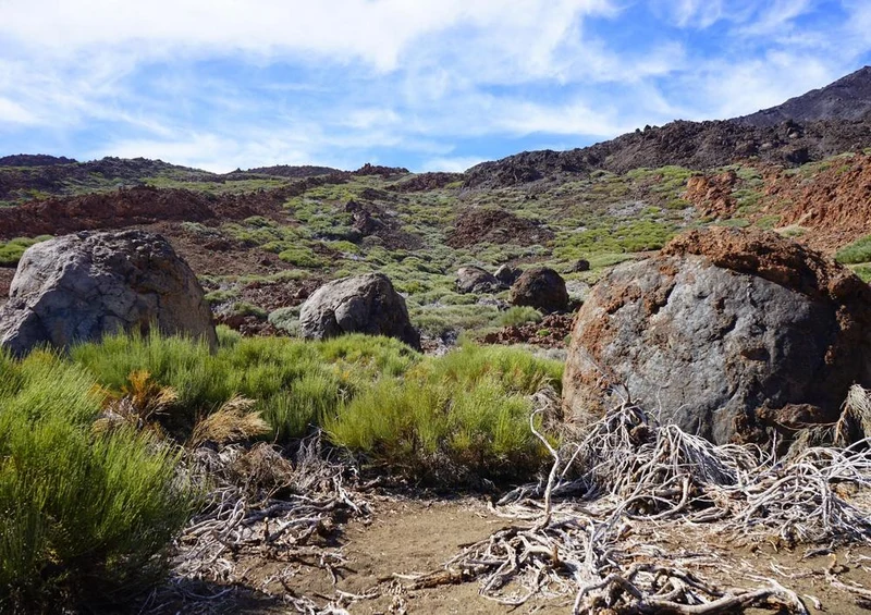 18351 Natur - Basalt-Gestein Puzzle