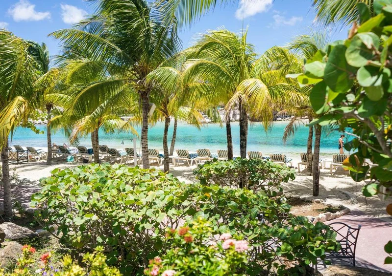 18350 Natur - Curacao Puzzle