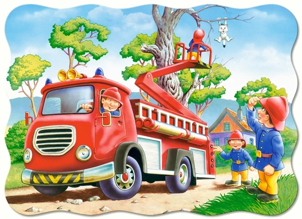 Kitten Rescue, 30pc