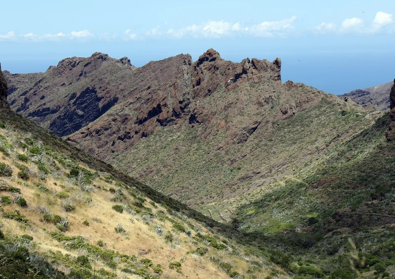 37694 Natur - Teneriffa Puzzle
