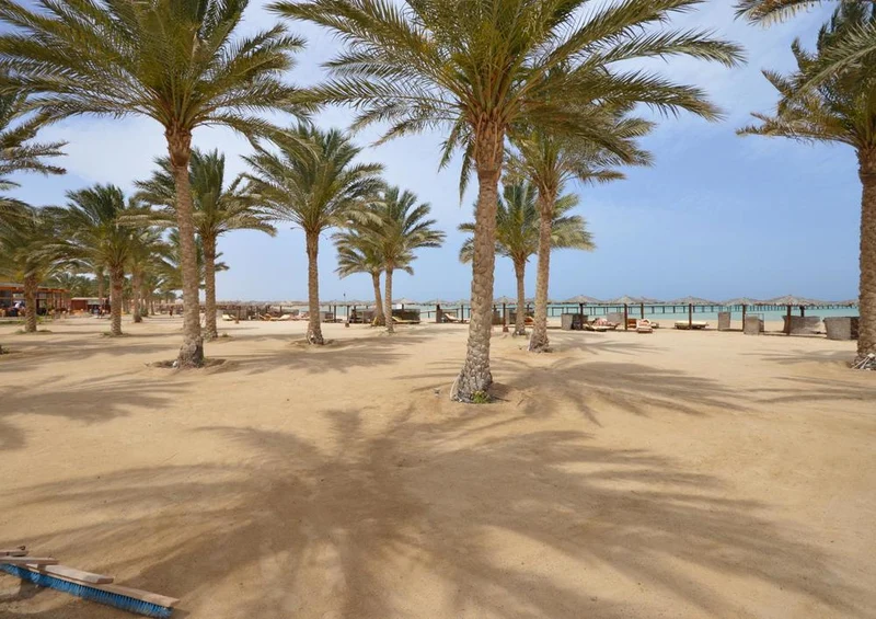 20678 Natur - Palmen-Strand Puzzle
