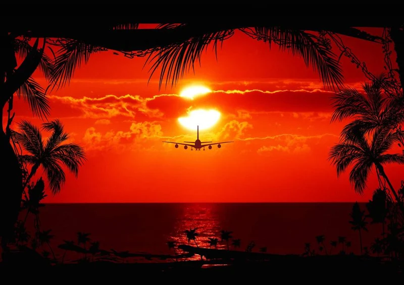 20559 Natur - Flug am Abend Puzzle