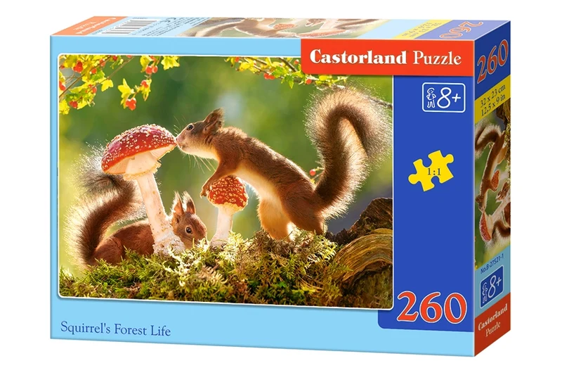 Squirrel's Forest Life