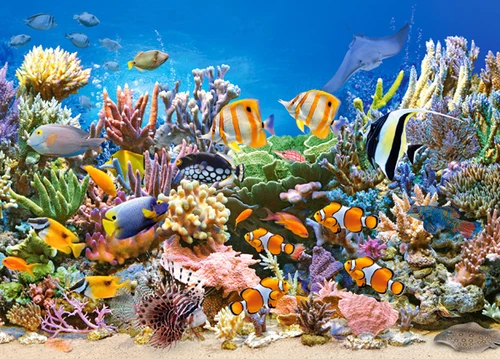 Colors of the Ocean