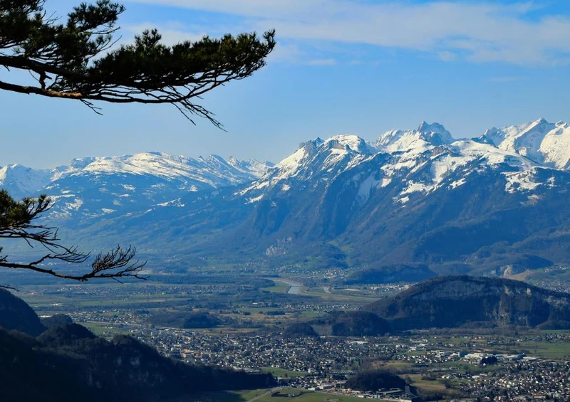 20193 Natur - Berg-Panorama Puzzle
