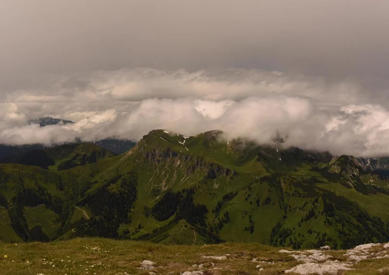 31285 Natur - Panorama Puzzle