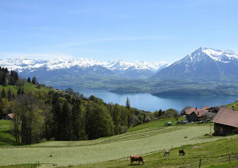 24730 Natur - Berner Oberland Puzzle