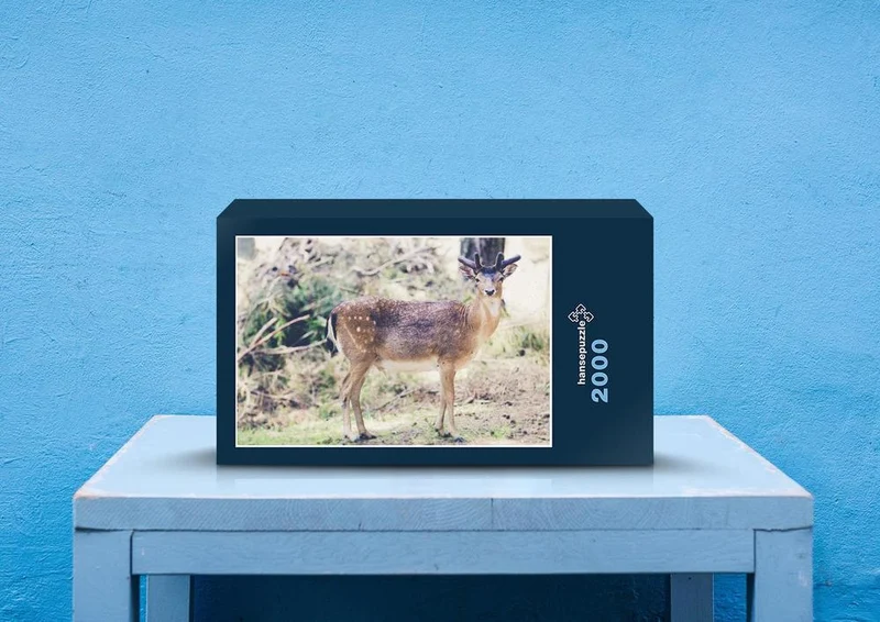 23720 Tierwelt - Rehe im Wald Puzzle