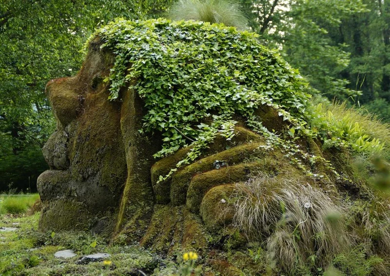 20484 Natur - Pflanzen Troll Puzzle
