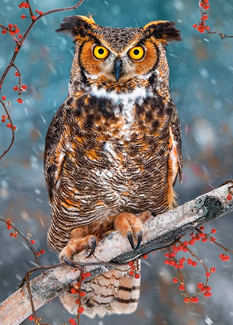 Great Horned Owl, 260 Pieces