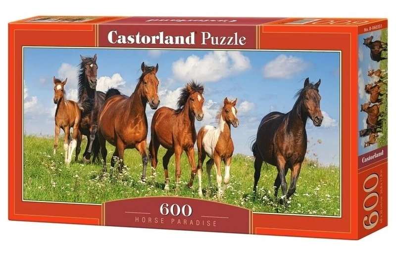 Horse Paradise