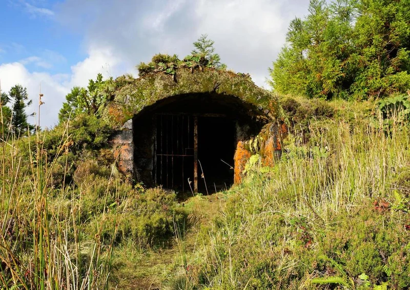 20539 Natur - Versteck im Grün Puzzle