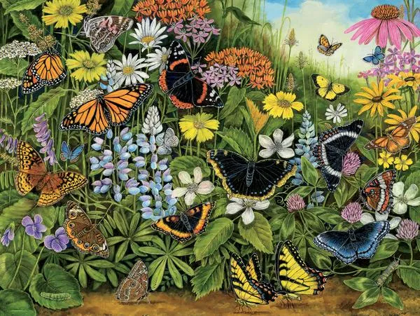 SANDY WILLIAMS- BUTTERFLY GARDEN