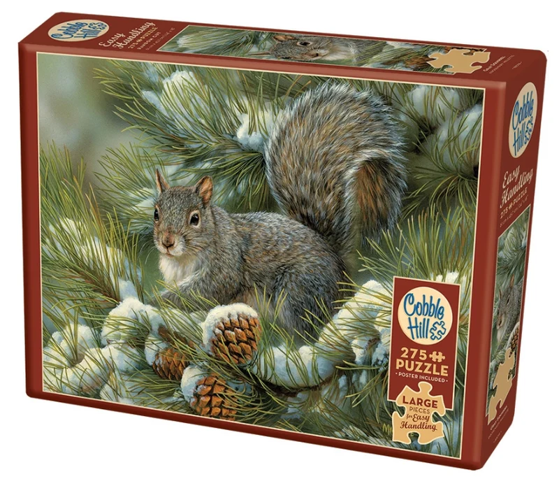 Gray Squirrel