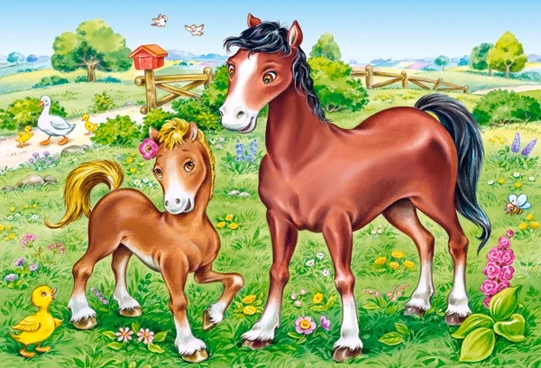Animal Moms and Babies
