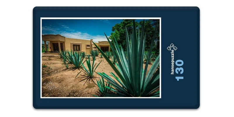19960 Natur - Agave Puzzle