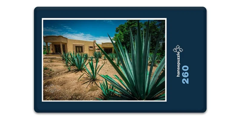 19960 Natur - Agave Puzzle