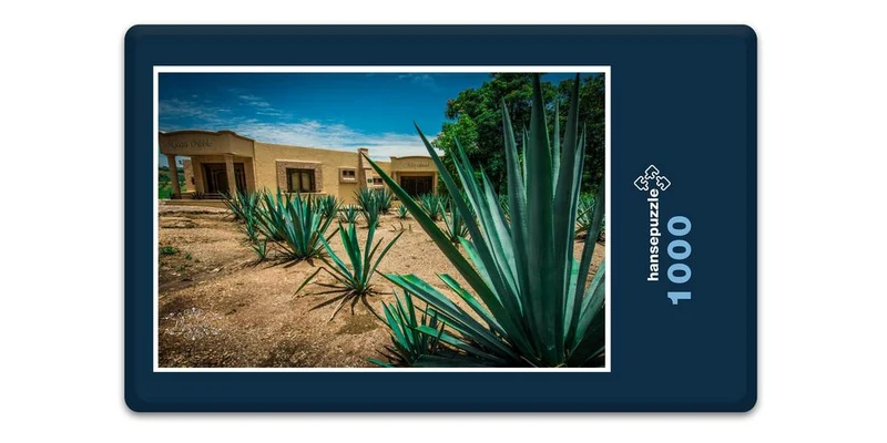 19960 Natur - Agave Puzzle