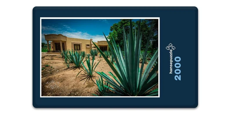 19960 Natur - Agave Puzzle