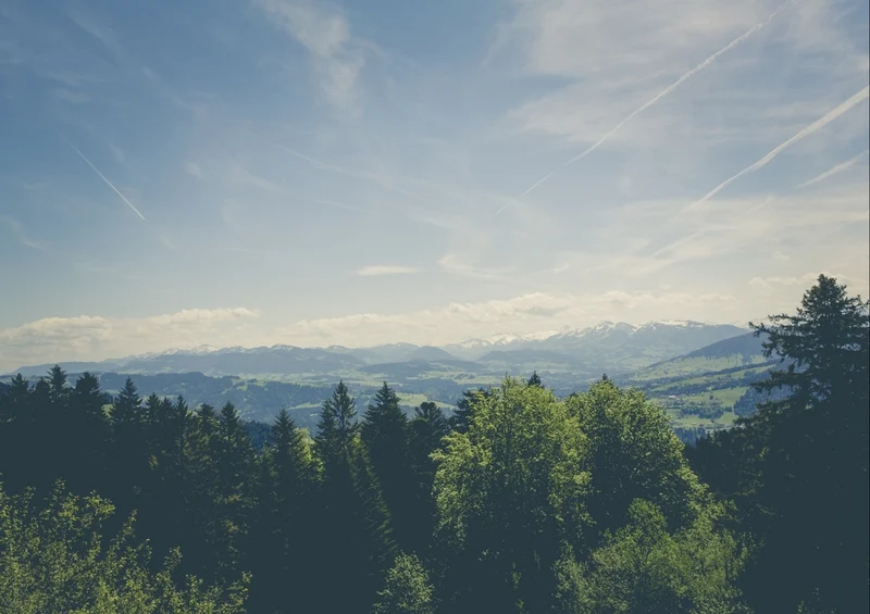 44686 Natur - Ausblick Puzzle