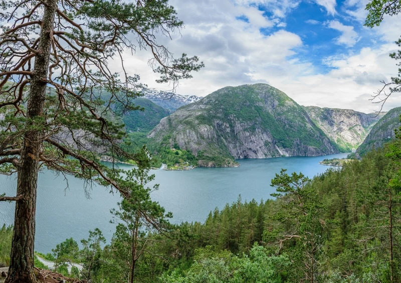 37236 Natur - Norwegen Puzzle