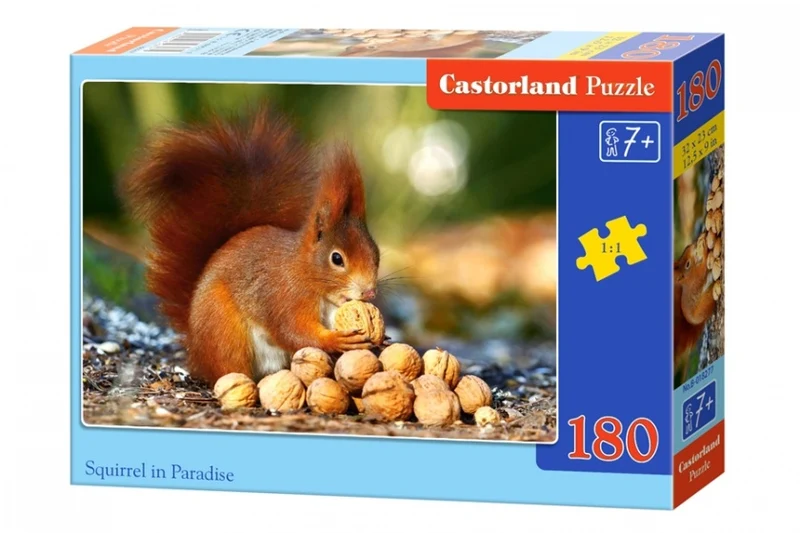 Squirrel in Paradise