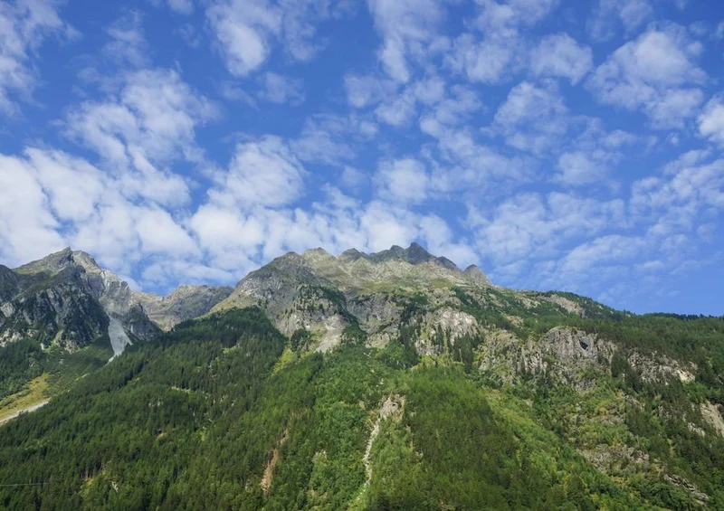 31199 Natur - Alpen Puzzle