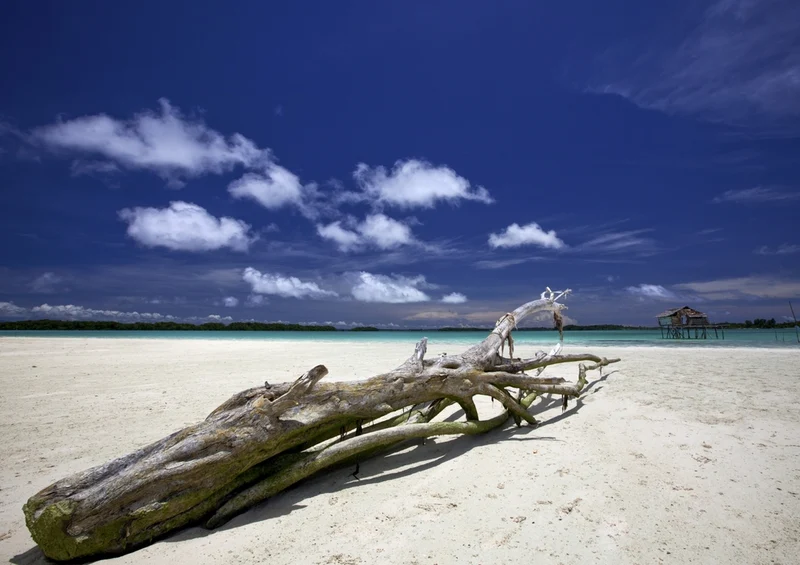 45107 Natur - Indonesien Puzzle